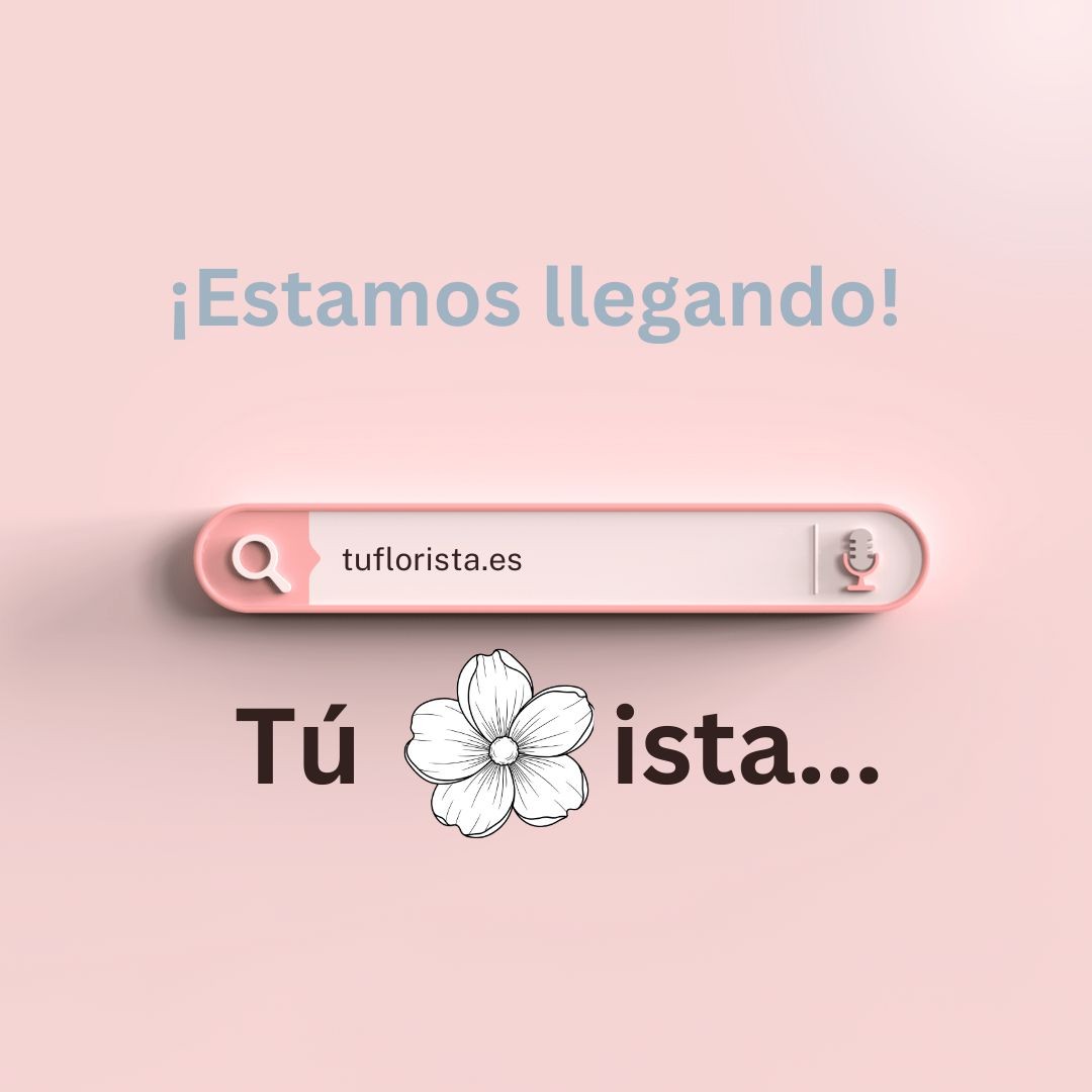 Estamos llegando